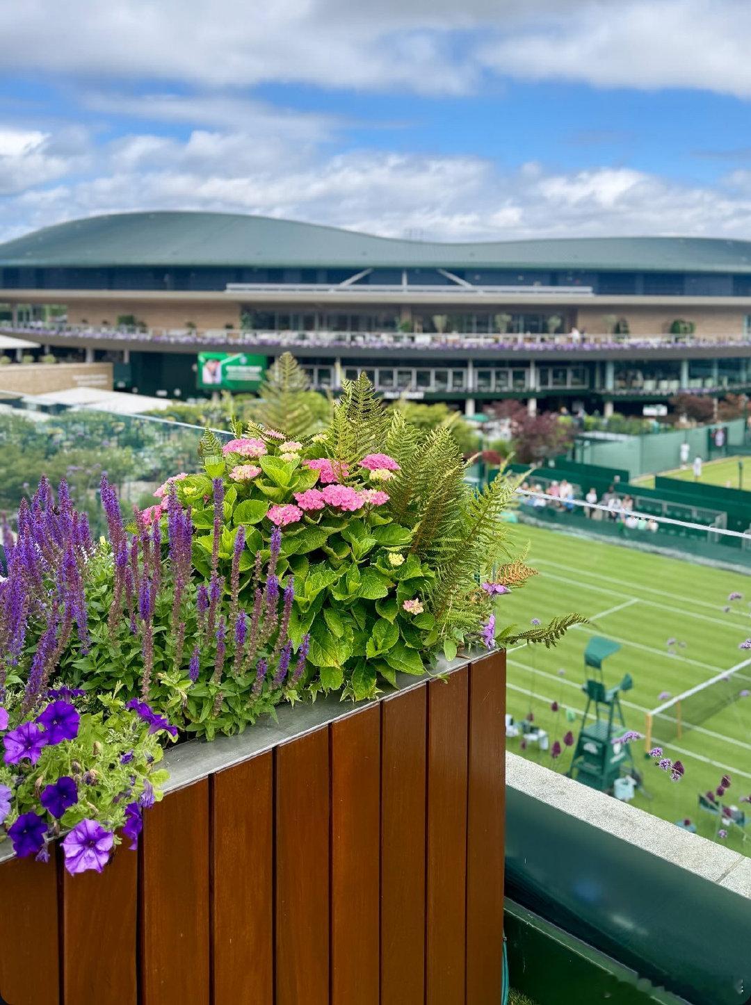 温网2025今日将展开下半区首轮争夺，赛程如下，均为北京时间📅🎾中心球场