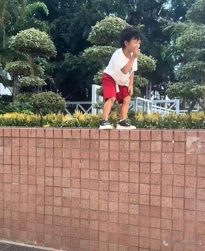 近日，张晋在社交平台分享了三胎儿子鱼蛋的可爱动态，瞬间吸引众多目光。视频里，鱼蛋