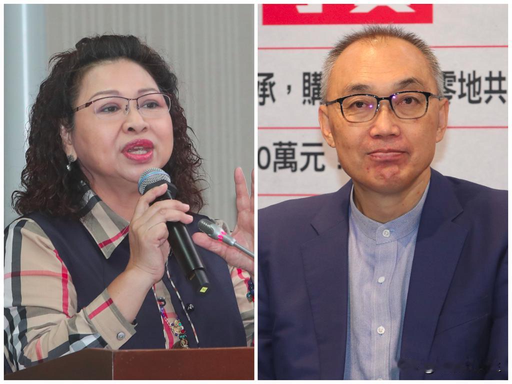 赖清德拉拢失败蓝营婉拒赖清德副手萧美琴举行记者会介绍台湾“监察委员”提名人