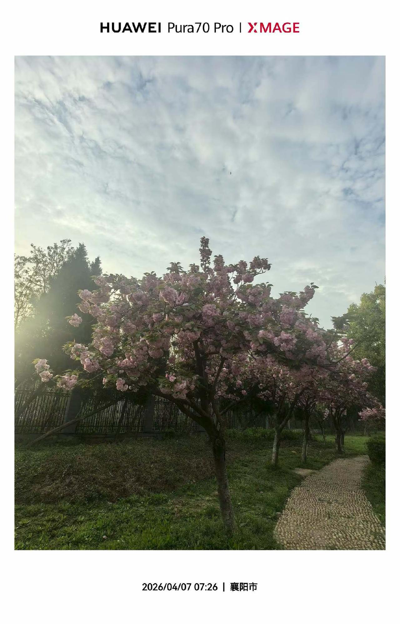 四七大剧里的一幕：不是剧中主线，只是幕中的一个副线，也是二八故事会里的一个精彩小