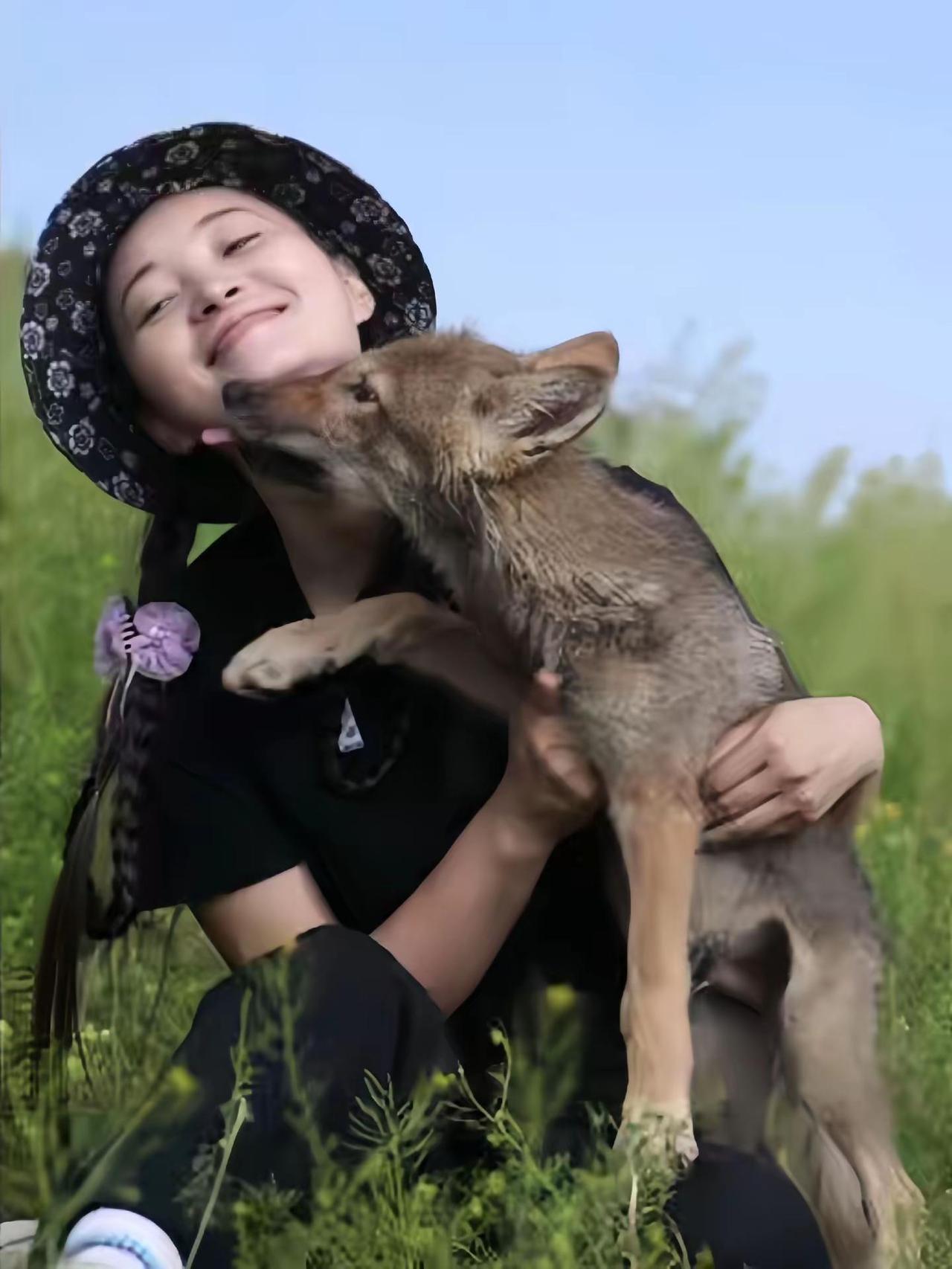 格林被藏獒围攻，差点丢了性命，黑虎冲在最前为它复仇，被咬断一条腿、撕掉一只耳朵，