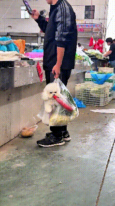 这个视频我看了好几遍呢，都笑出眼泪来了。你瞅瞅这小伙来菜市场买菜，手里拎着塑料袋