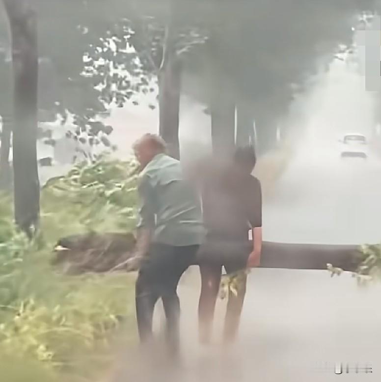 6月6日，河南平舆，路上一棵树被大风刮断，一对夫妻暴雨中将树干抬到路边，过路司机