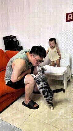 这个视频我看了好几遍，这只小猫咪真是个小吃醋鬼，可爱得不行。恁看，主人正陪着小