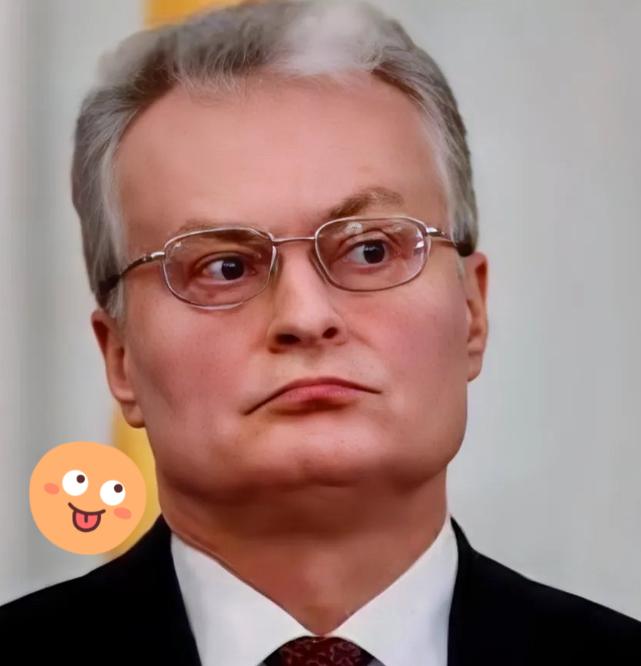 好家伙,立陶宛这戏演得可以啊!就刚刚,他们嚷嚷着俄罗斯军机“侵犯”领空了。