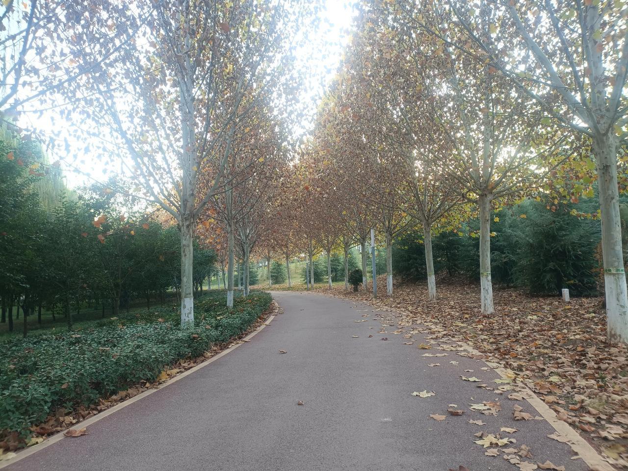 分享我这周有趣的事：那些遛狗不拴狗的人，太让人讨厌了。早上出去散步，忽然