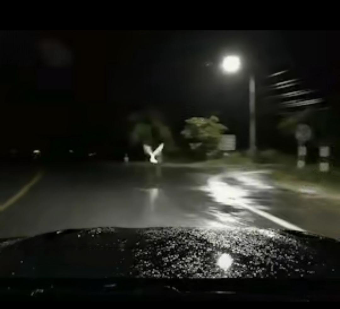 冥冥中果然有天意！近日有网友晒出自己惊心动魄的一幕:自己晚上开车回家，在经过