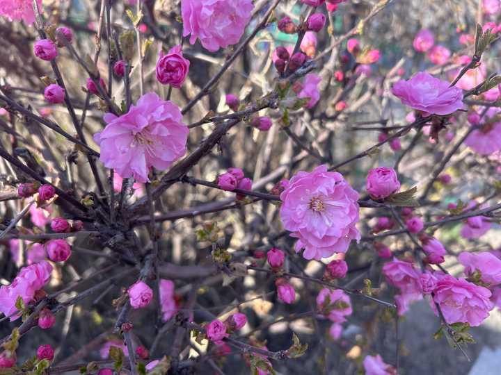 对于泛滥成灾的婚外情，你有什么看法？现在的人也许是由于太过于孤独了吧。生活压力