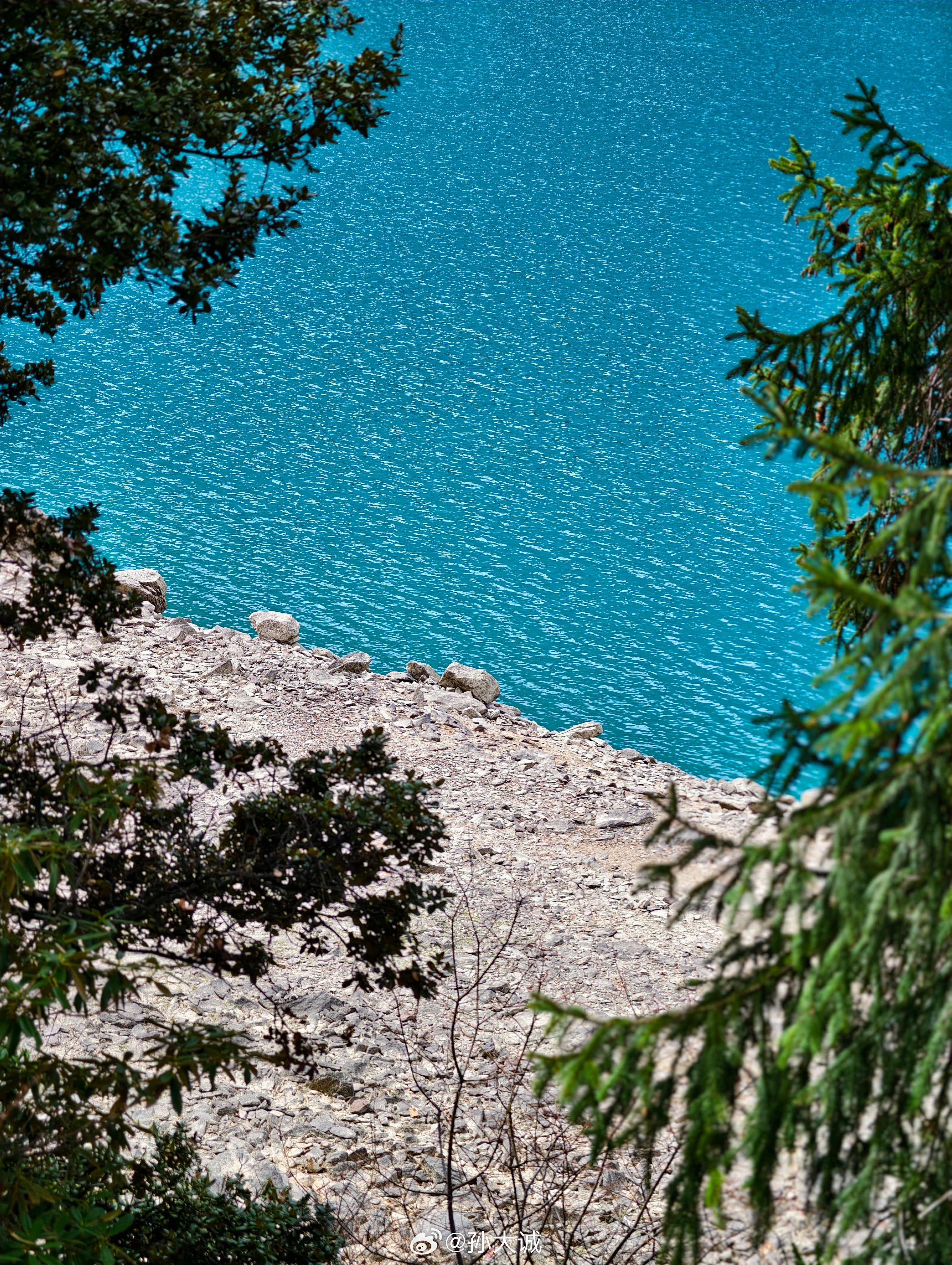 今天总算见到林芝真正的样子了！巴松措的湖水、白郎沟的山野、拉如村的桃花，以及雅鲁