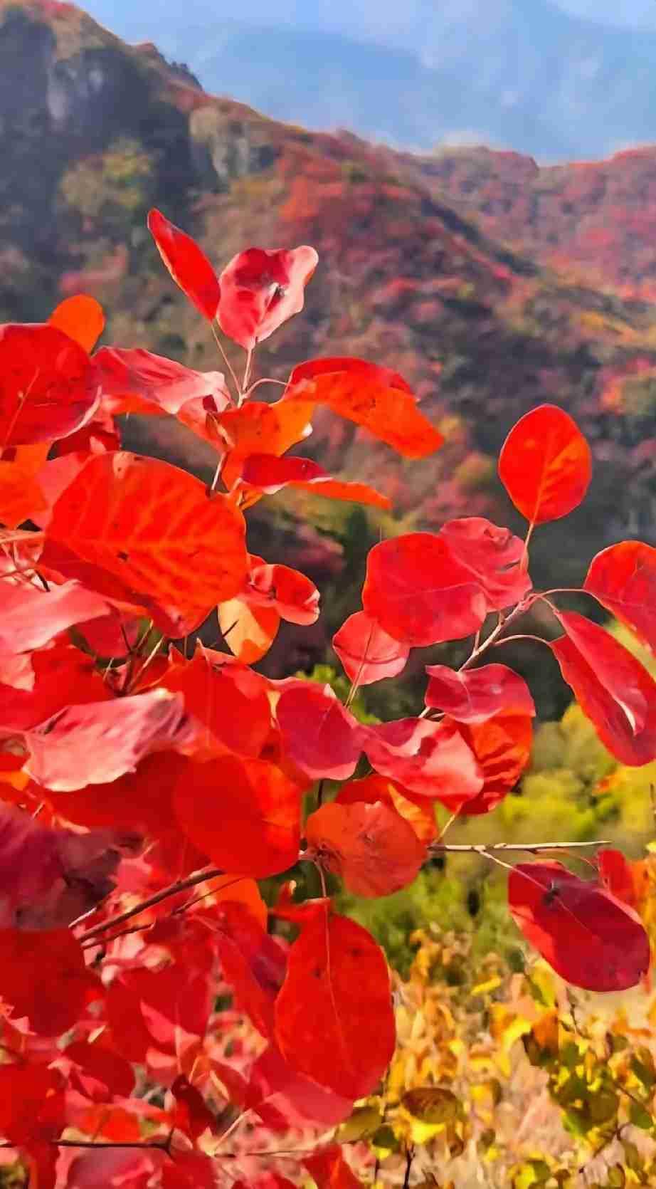 带定位晒今日生活今天状态超轻松愉快，心情就像欢快的小鸟在天空自由翱翔！外面阳光