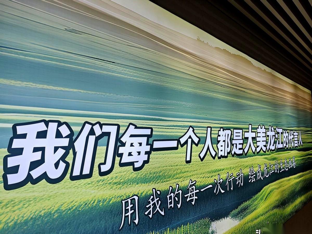 一天，12万人。这是个什么概念？就是钱往你脸上砸，你都接不过来。然后，哈尔滨