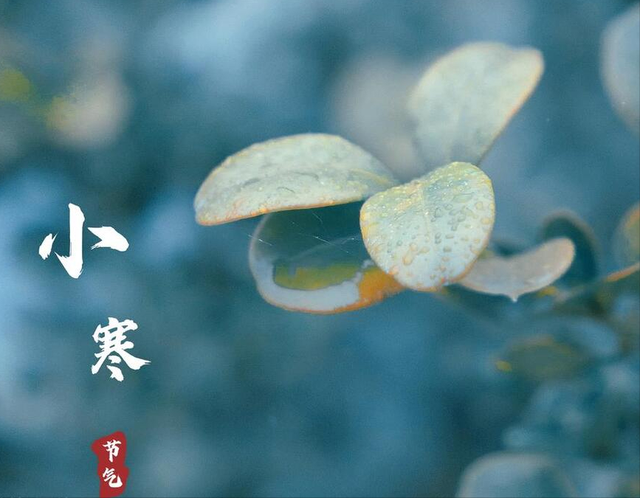 小寒不养阳, 一年都白忙, 小寒节气, 再忙别忘了吃“6宝”来御寒