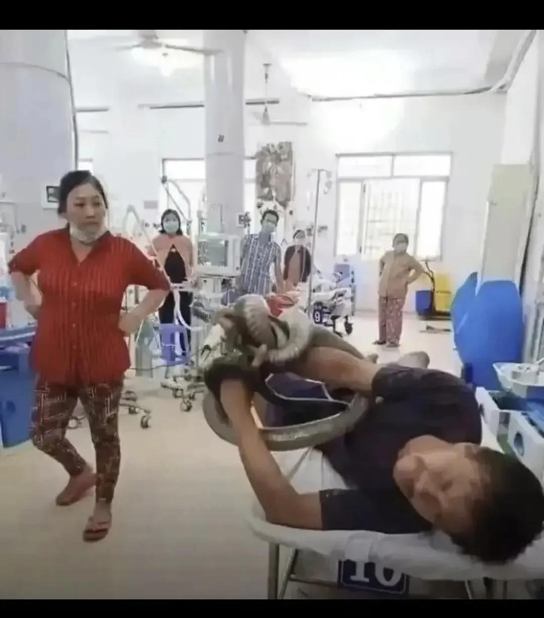 广东小伙徒手擒毒蛇送医自救！人蛇大战惊心动魄，医生点赞这波操作太硬核！