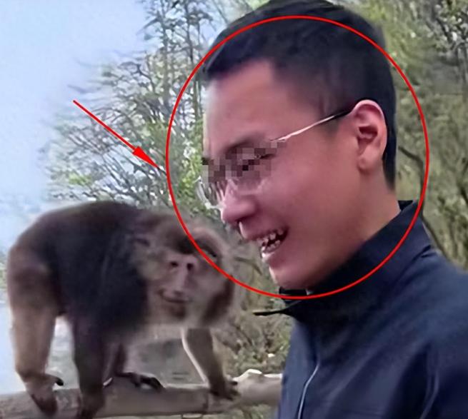 峨眉山推猴事件后续来了！男子惨遭全网起底，身份被扒彻底社会性死亡，下场真是大快人