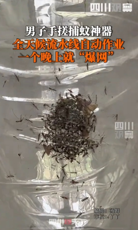 “人怎么能这么聪明！”5月22日，福建厦门，一男子被村里的蚊子叮的不胜其烦，于是