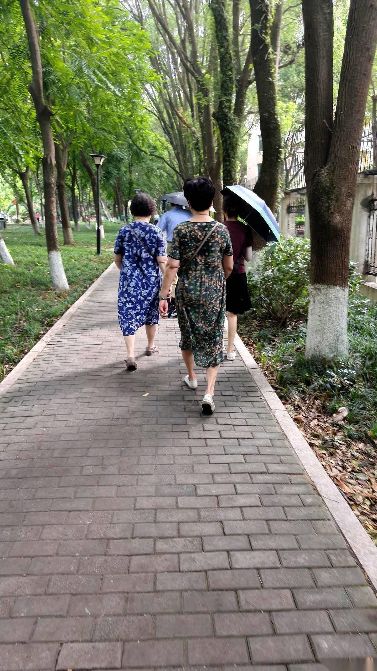 800万拆迁款到账那天，我大姨谁也没告诉。她一个人，找律师，买新房，装修，搬进