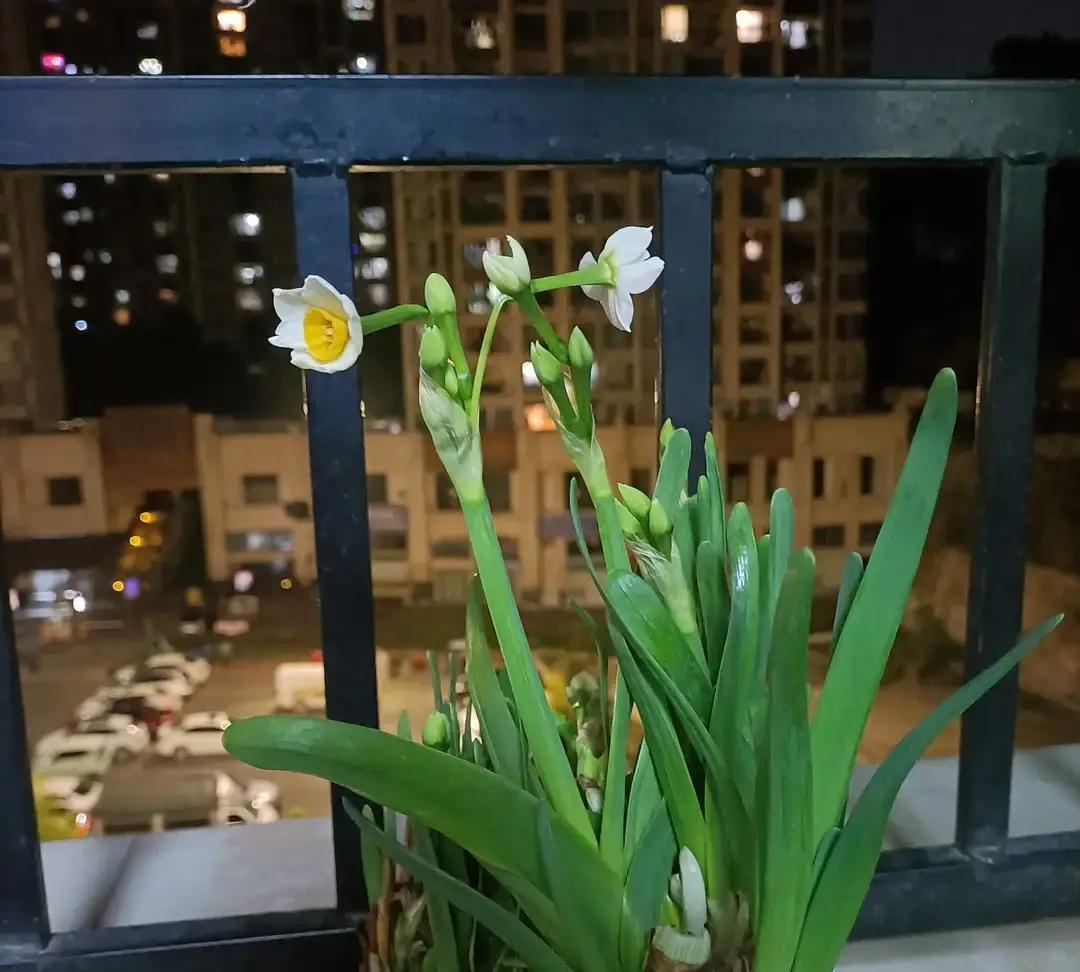 刷到个帖子，说今年过年给爸妈各包两千，岳父母那边也两千，结果老婆嫌少，说邻居都给