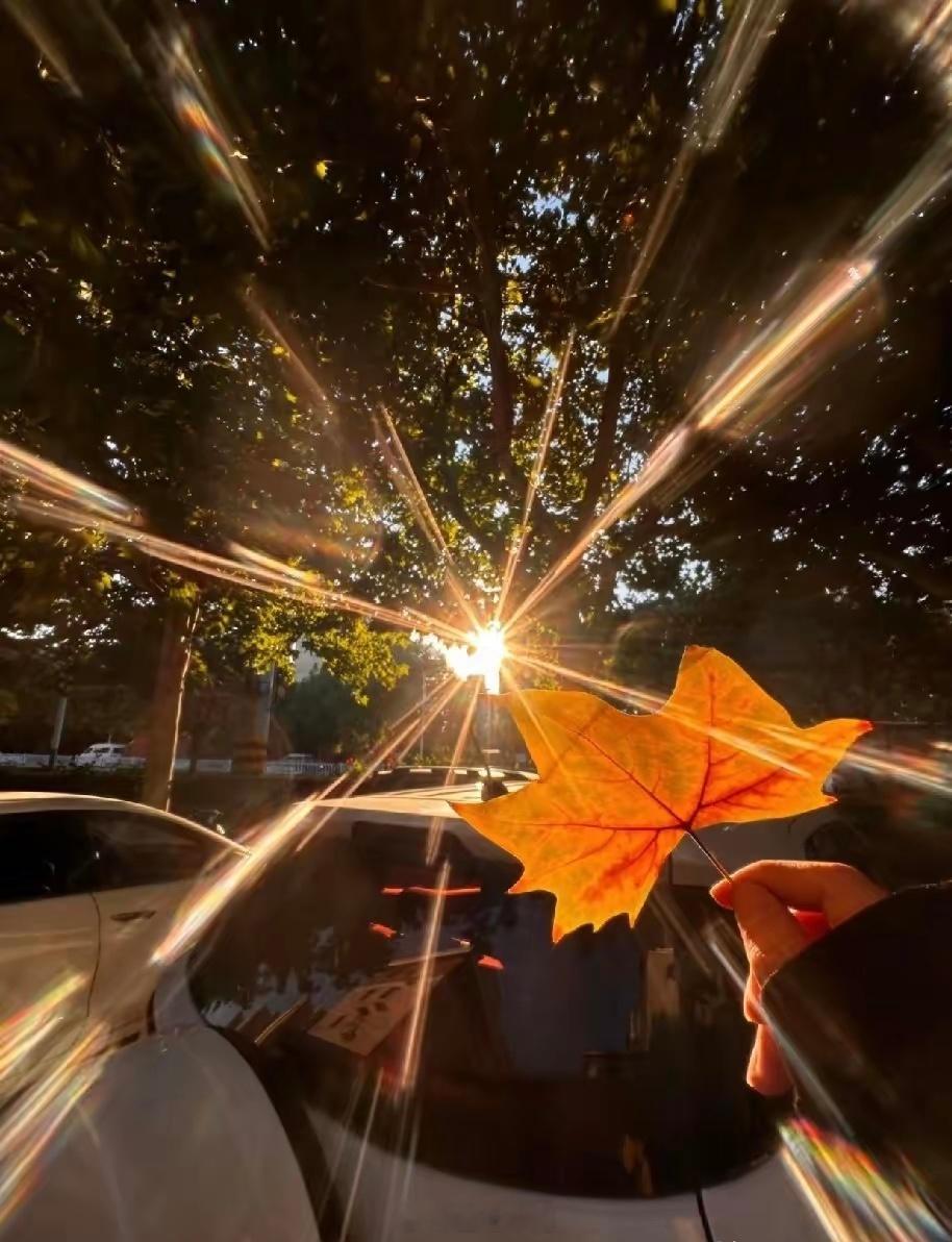 股民的七寸是心魔，魔散利来。主力的七寸是筹码，吸饱即拉。新手的七寸是恐慌