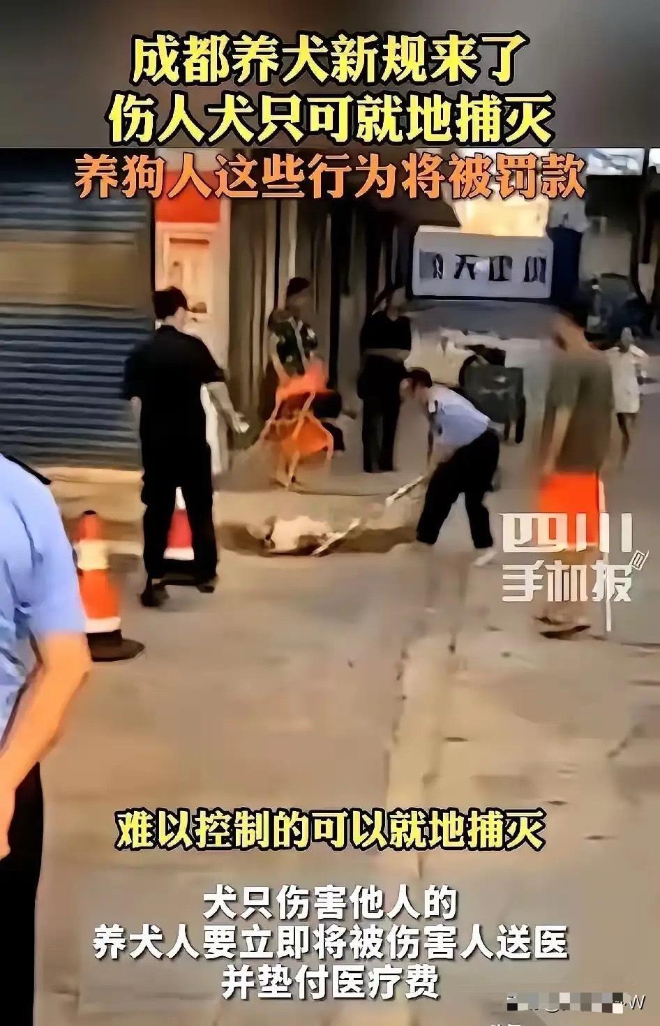 成都的养狗新规太给力了！狗咬伤人，狗主必须带伤者去医院检查，并且承担费用；狗遛狗