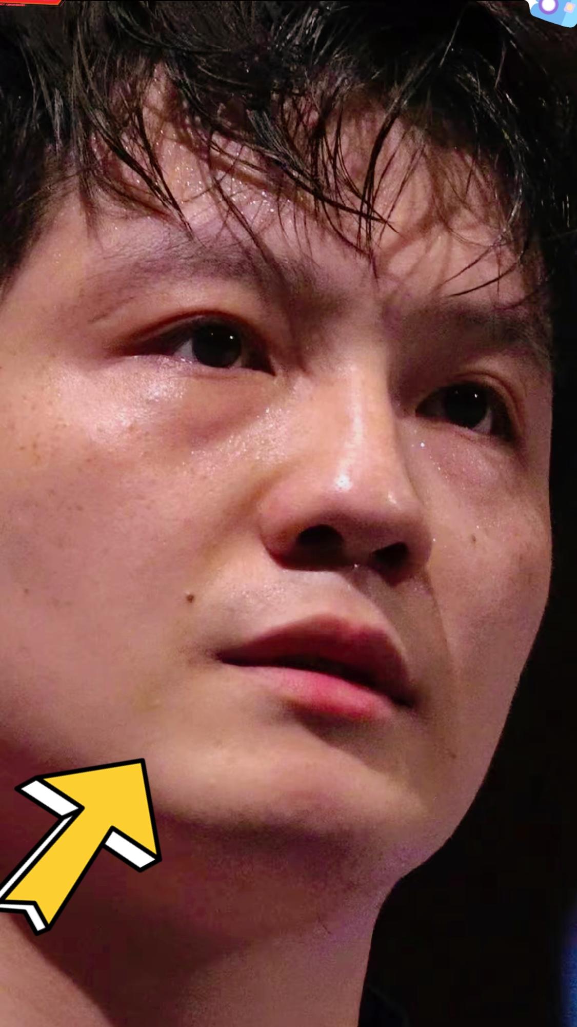 樊振东啊，樊振东，你千不该，万不该在平台转播的时候输比赛，表面上看，只是输了两盘