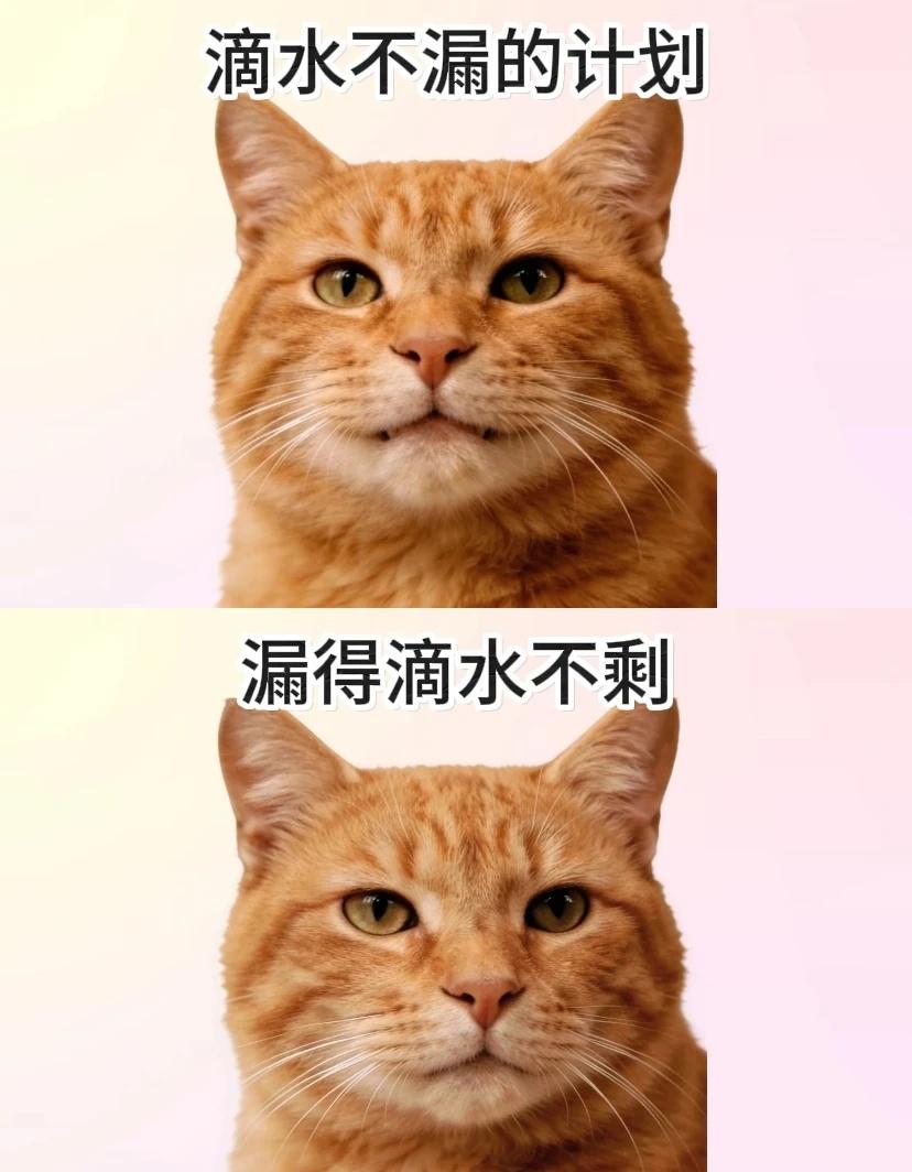 事情终于有了新的退展表情包猫咪表情包搞笑表情包精神状态当代年轻人的精神
