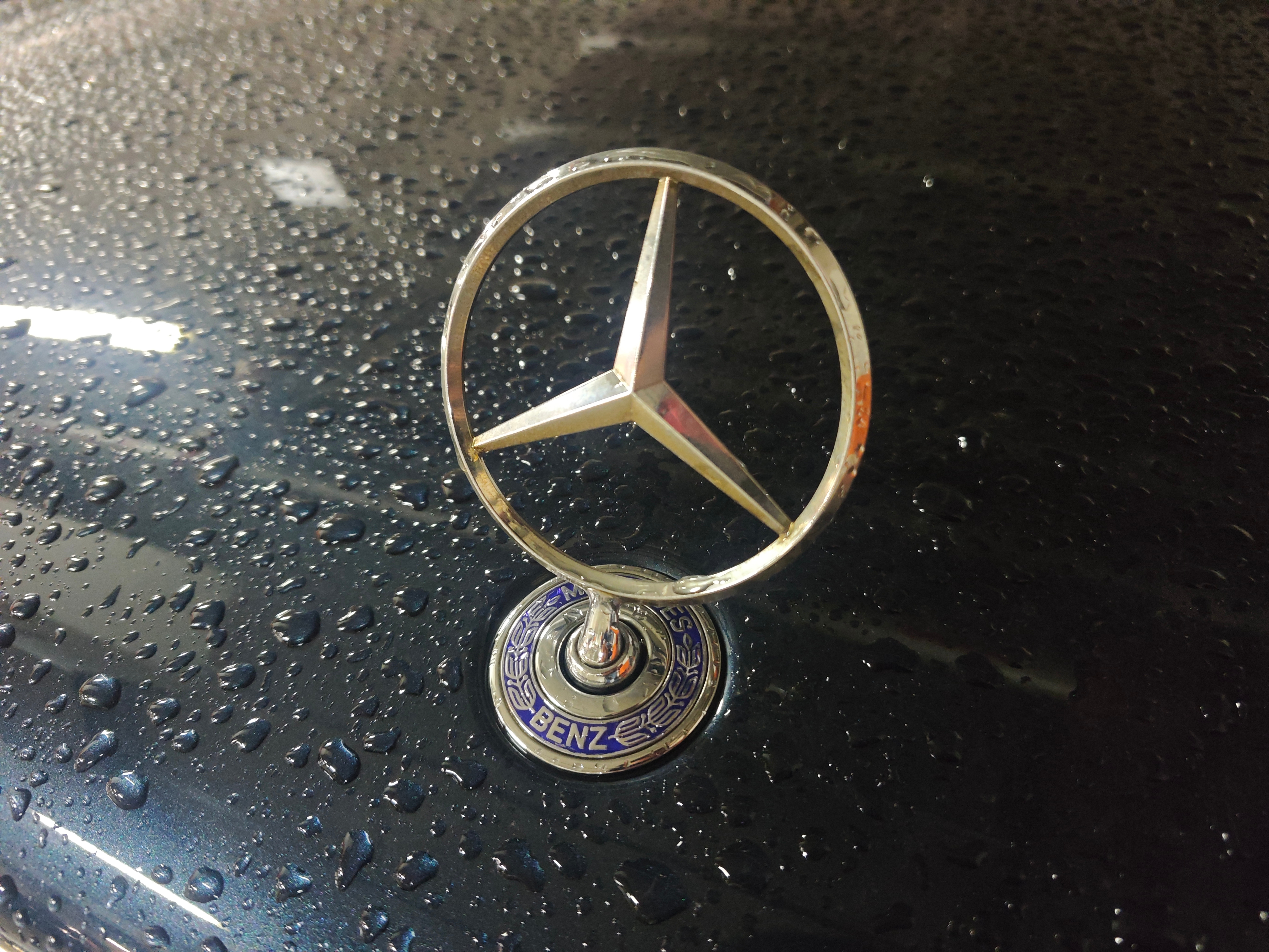 有点水珠还挺帅