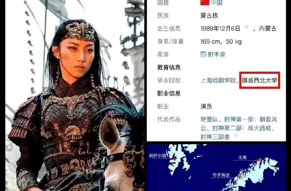 没必要抵制那尔那茜，加上她是少数民族同胞，大家就宽容些吧。挪威西北大学历真的