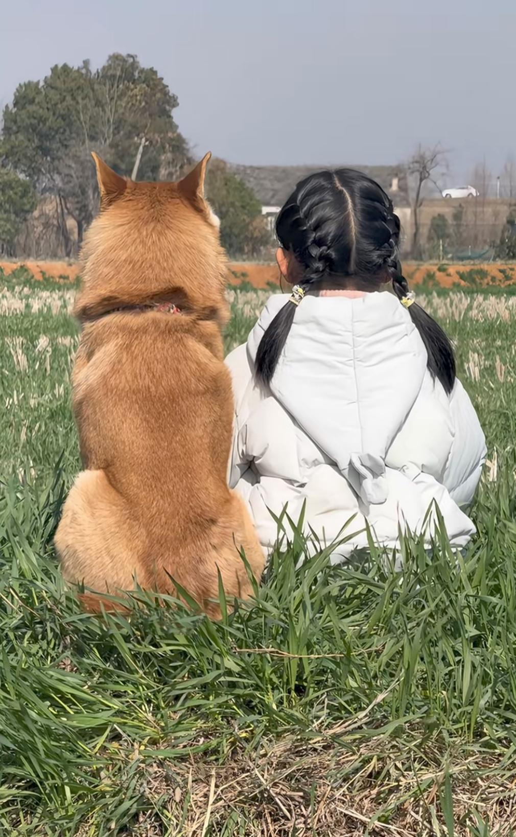 此生有两大憾事，一是没有女儿，二是没有遇到一只可心的中华田园犬！可是有的人两