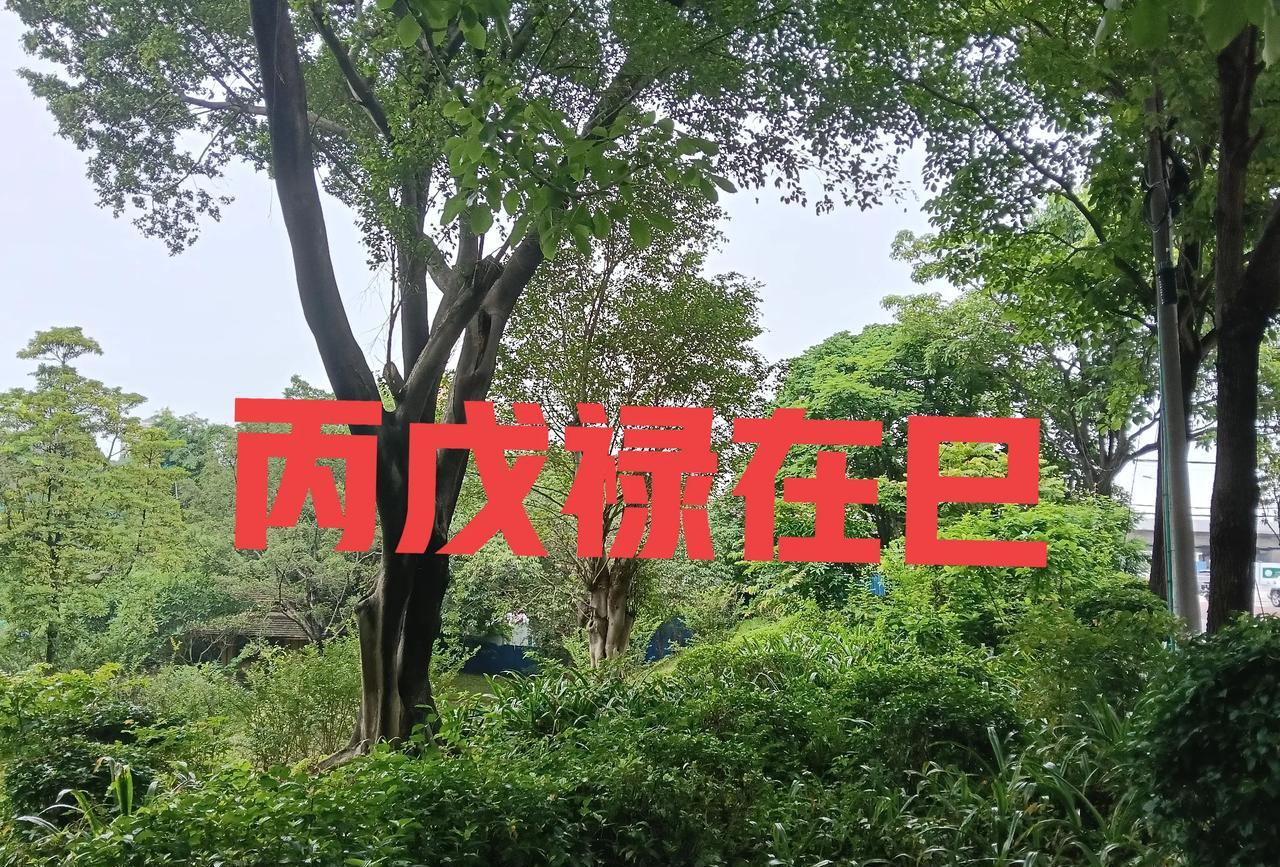 丙戊禄在巳丙火与戊土的天干禄位均在巳火地支，这是由《十天干生旺死绝表》决定的。