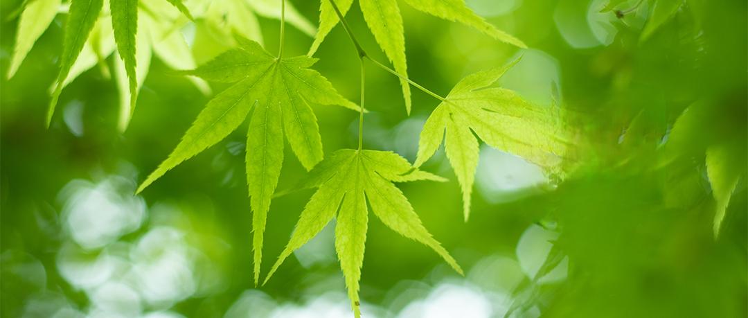 朋友说，为什么女儿结了婚，就变的冷漠、自私了。原来朋友上个月住院，女儿一次都没