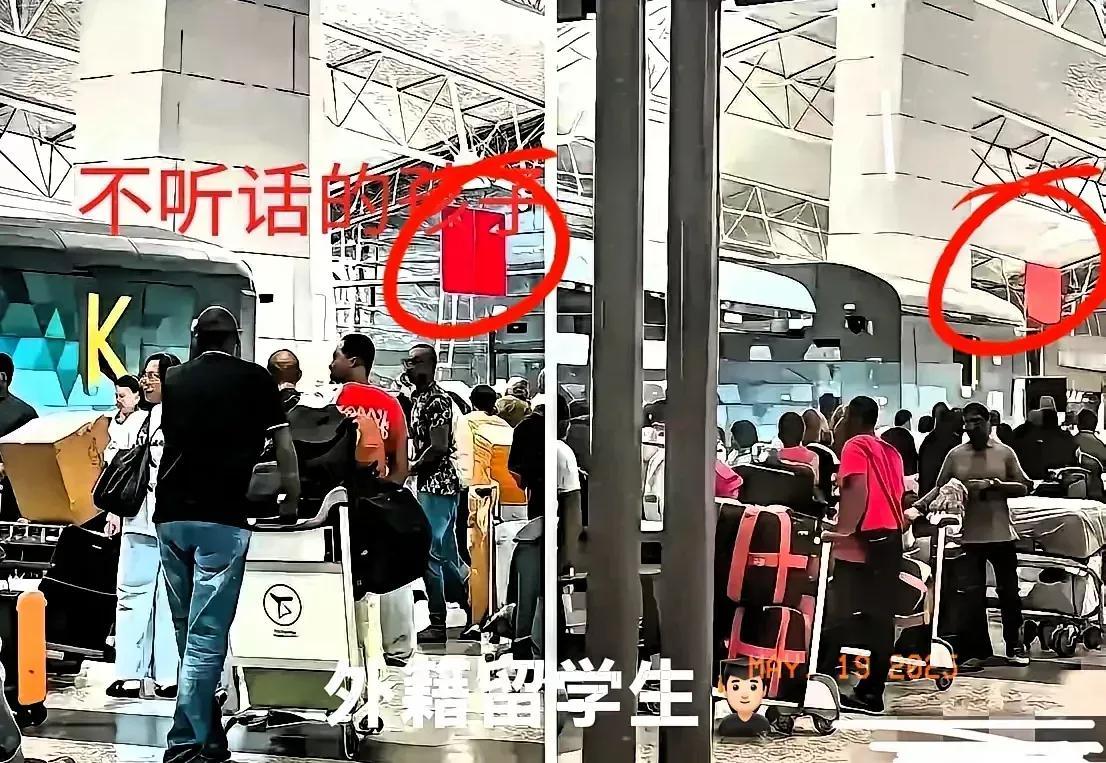 留学生喊：“不欢迎就放我们回家！”5月18号，某高校300多外籍学