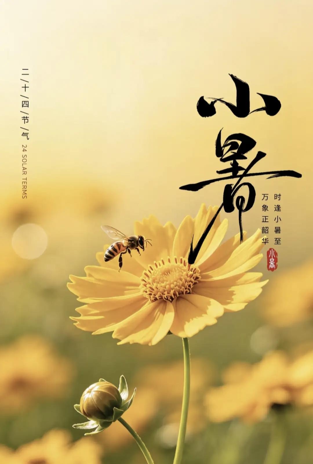 “三伏热不热，就看小暑”，今日小暑，今年三伏天很热吗？今天是2026年7月7