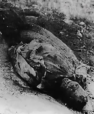 1942年5月，左权将军牺牲后，遗体被日军挖了出来，拍照后进行了大肆宣扬，而这一