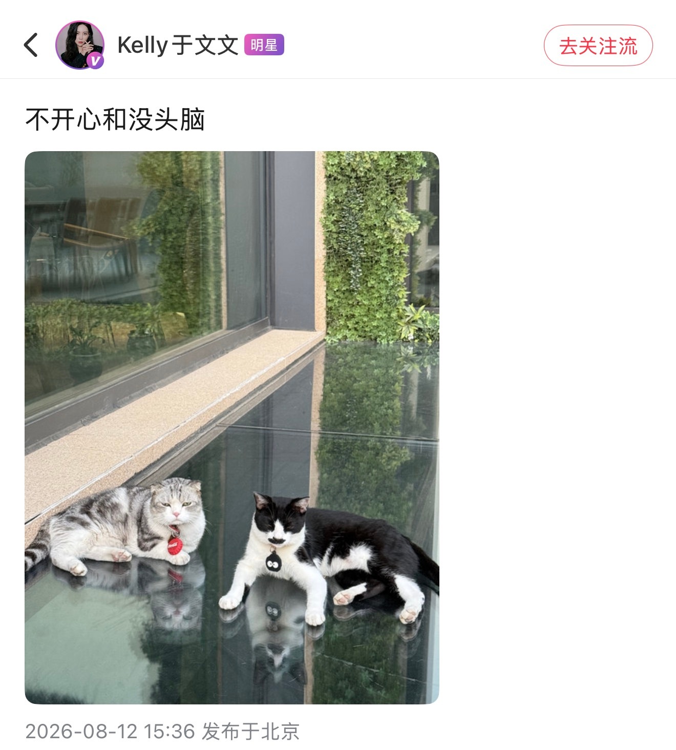 好久不见弟弟脖子上的小玩意好萌(原来是AirTag保护套猫手一个