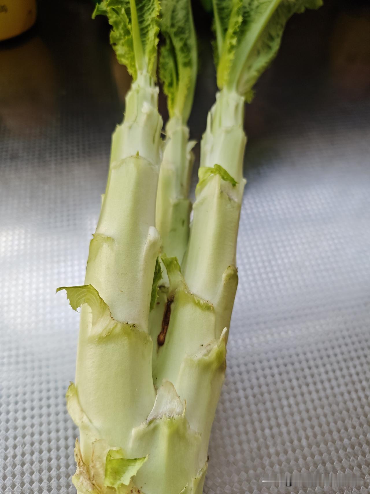 我这人特爱吃莴笋，不但吃莴笋的茎，还喜欢吃莴笋叶。以前自己种小菜园的时候种可