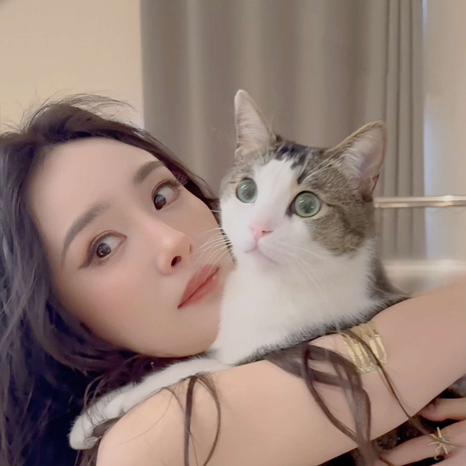 杨幂头像*壁纸分享小猫咪能有什么坏心思呢？只是想粘着杨幂罢了！幂你的眼睛和巧