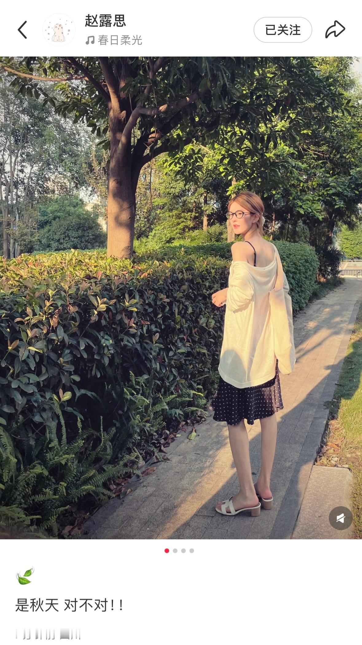 🍃是秋天​​​