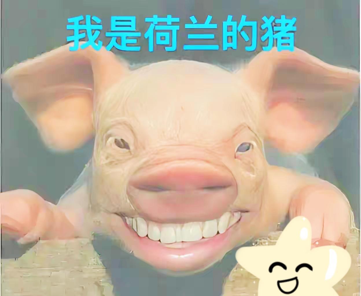 突发笑话：荷兰的猪笑了[捂脸哭]槽点来了！荷兰鹿特丹港，足足97%的猪肉目
