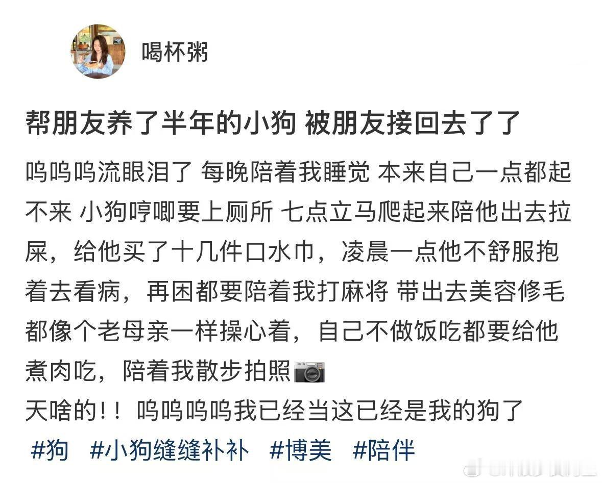 帮朋友养了半年的小狗被接回去了[哭哭]​​​