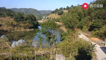 打开 打开 驱车游览福建太姥山 打开 魅力之旅——来福鼎的人一定不