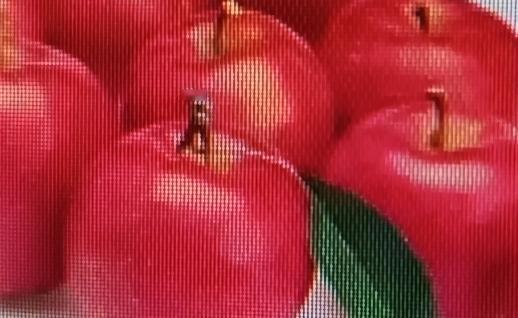 很多人觉得肺坏了就没救了，其实肺是人体修复能力较强的器官，吃对东西很关键。肺不