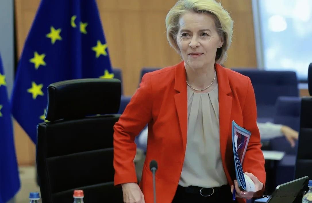 欧盟主席冯德莱恩已经亲口承认将土耳其列为和中俄一样的“敌人”，尽管欧盟官员随后找