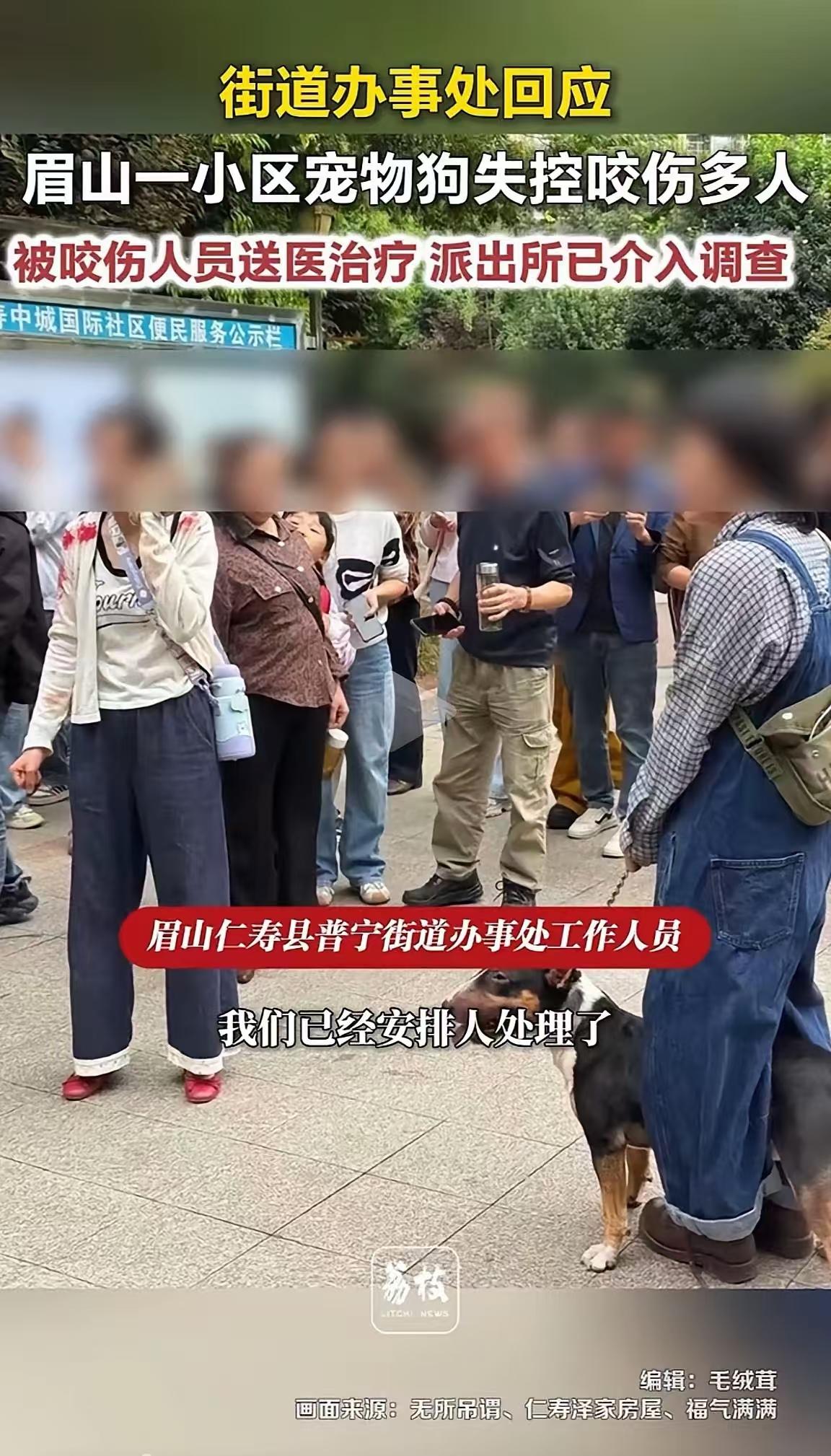 现在的养狗乱象已经到了，影响到广大市民的正常生活，所以说必须严肃惩罚一些不道德的
