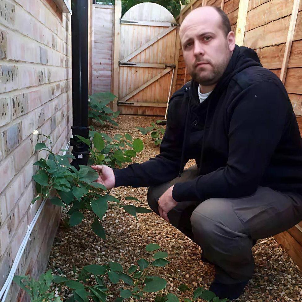 英国人头痛不已的“入侵植物”，在中国却成了餐桌美味和致富良方