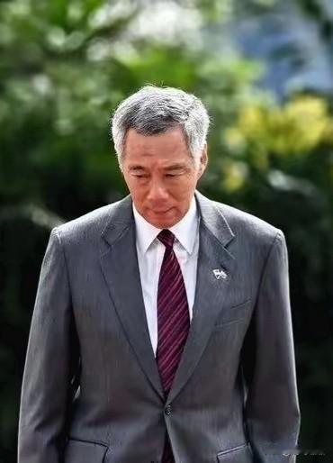 新加坡的种族问题是新加坡政府咎由自取的结果，很多人觉得新加坡的种族问题是国内网民