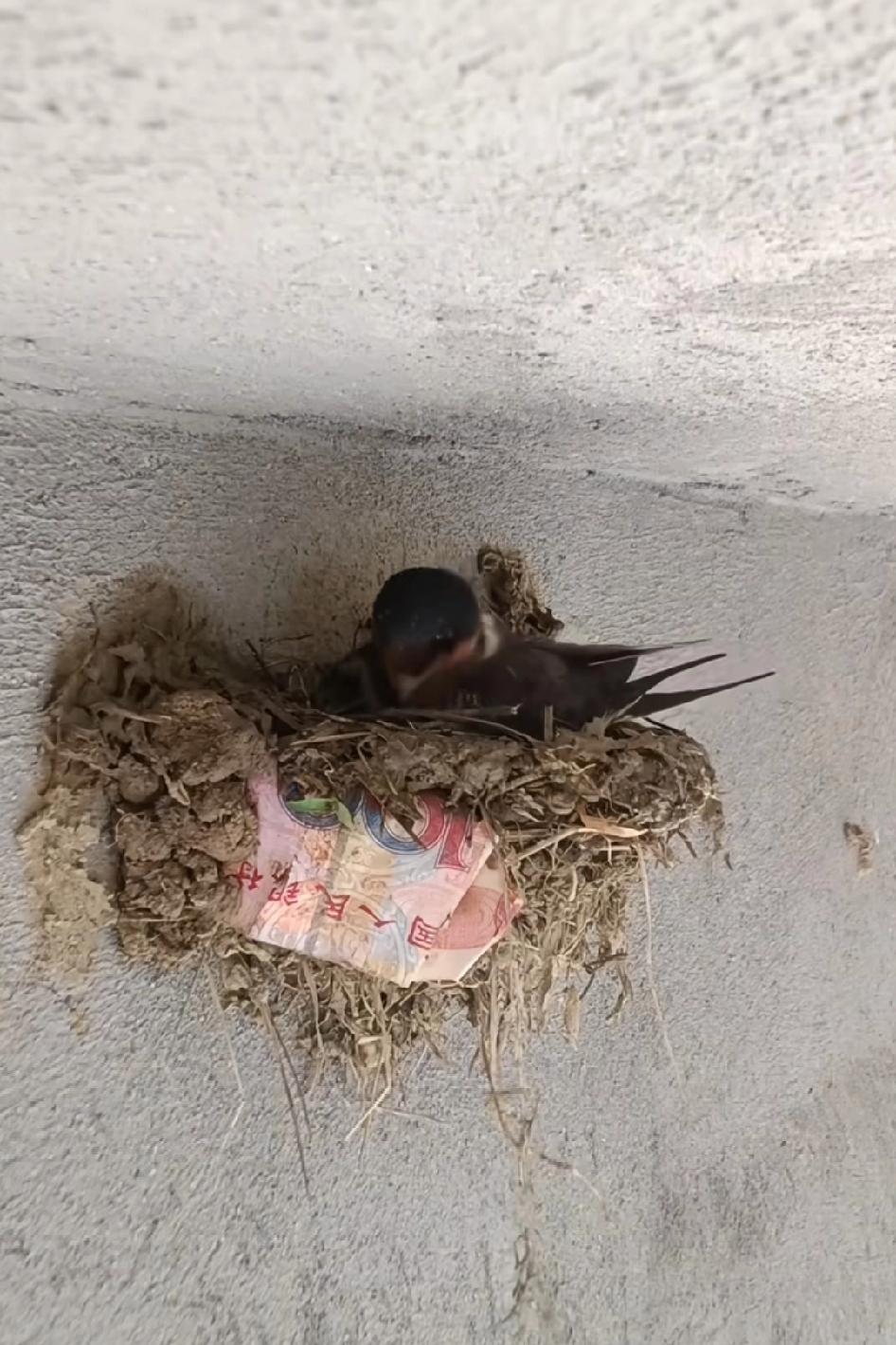 比成都一环路房子还贵，大家帮燕子这个房子多少钱一平米算算经济基础决定上层建筑，