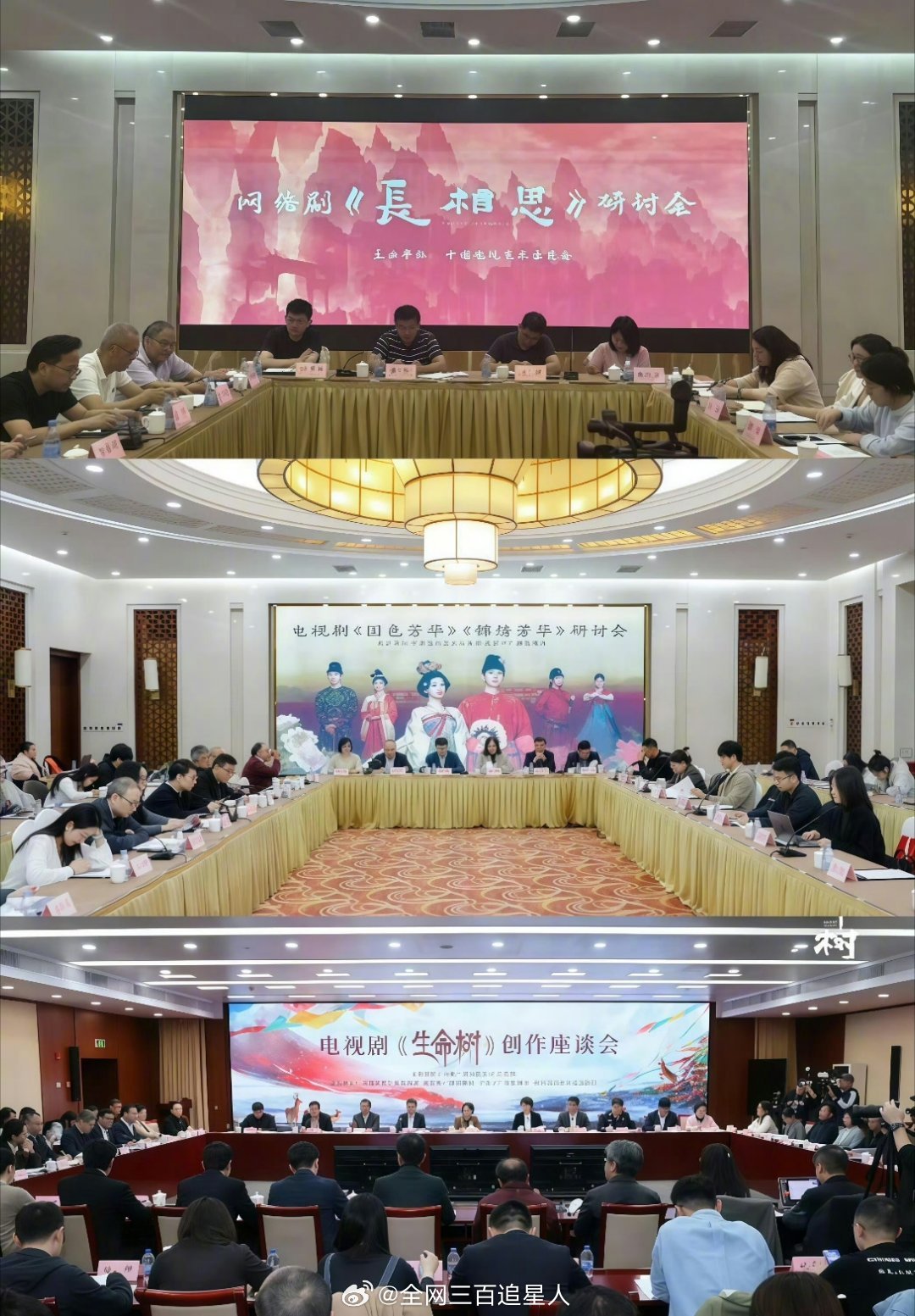 还得是杨紫不愧是杨紫