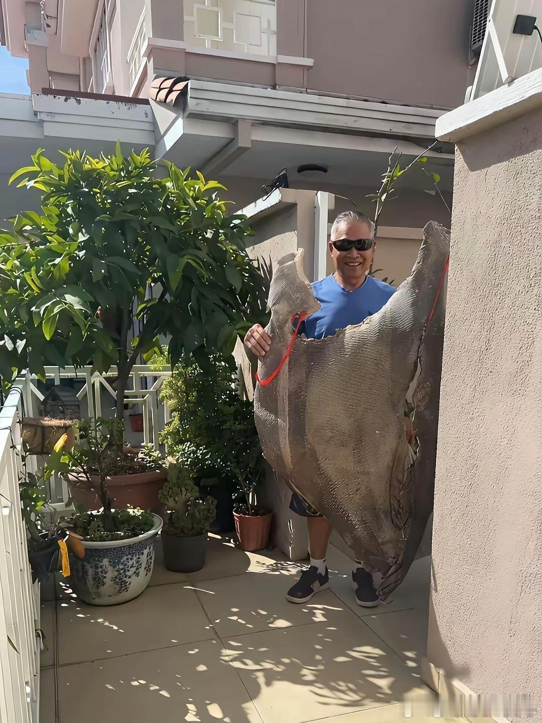 大叔这富炫得……我居然无法反驳！大家看得出是什么吗？