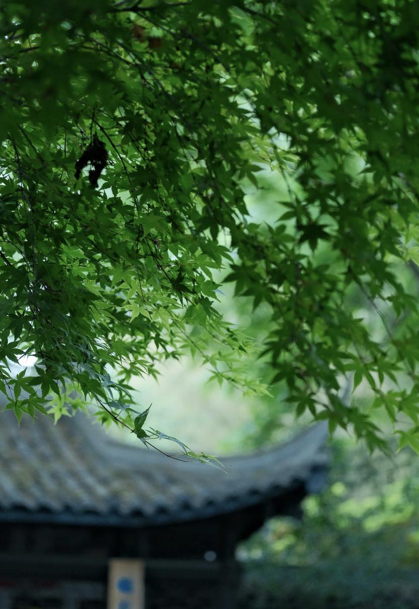 道家有个说法，叫“谷底蹲一日，元神养三年”真正脱胎换骨的人，都经历过一段看似“