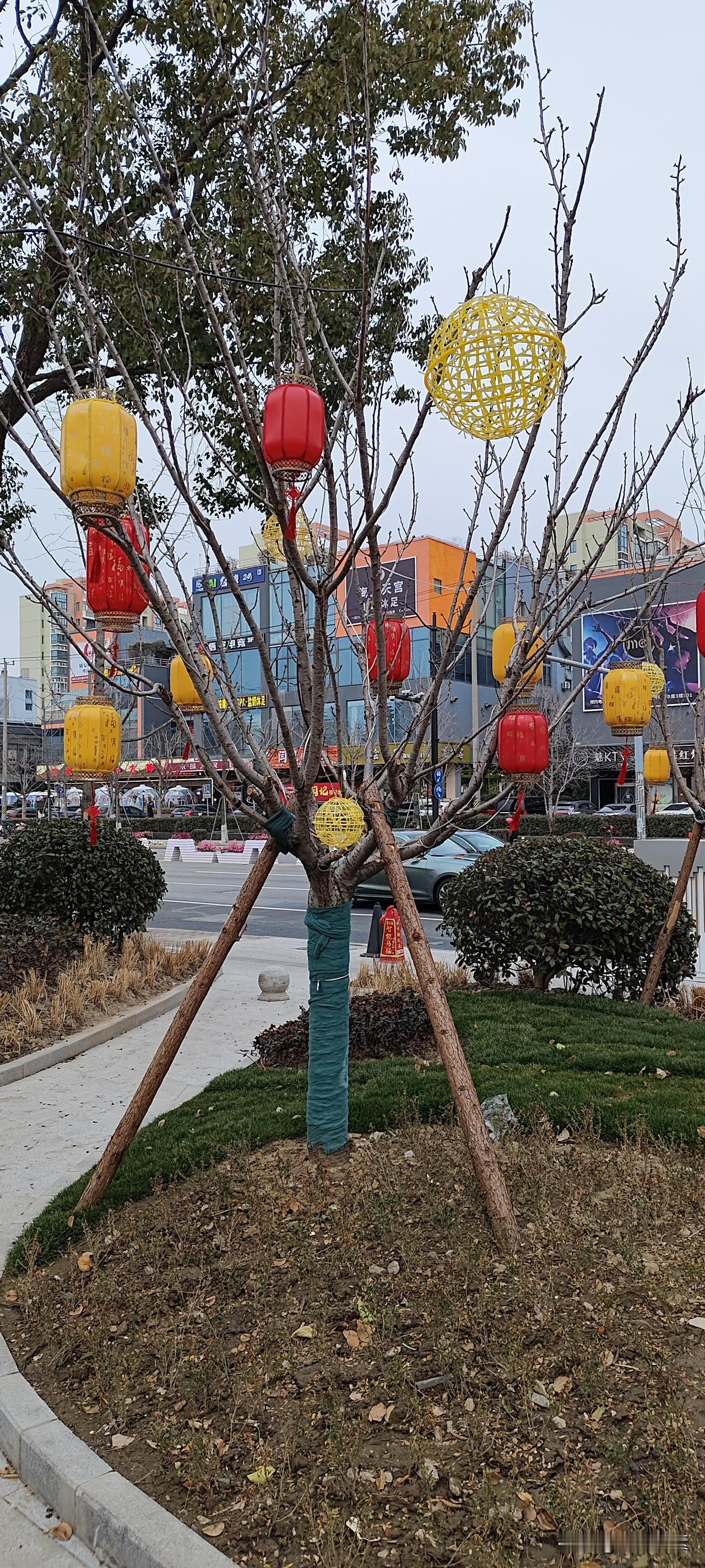 与房产中介一席谈接孩子的时候，去得有点早，就在附近一家房产中介门口的椅子上坐下